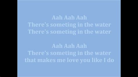 there's something in the water lyrics